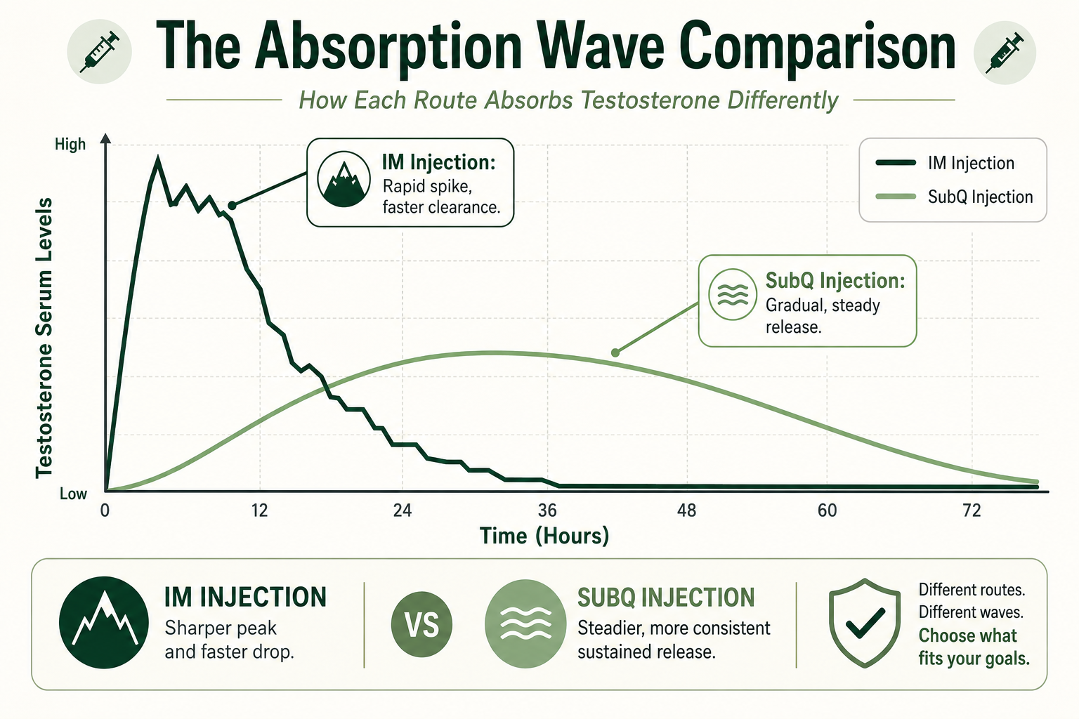 How Each Route Absorbs Testosterone Differently